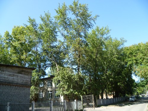 Барнаул. Безымянный переулок между улицами 9 Мая и Сизова