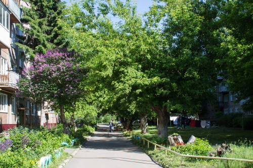 Барнаул. Типичный двор на улице Чеглецова