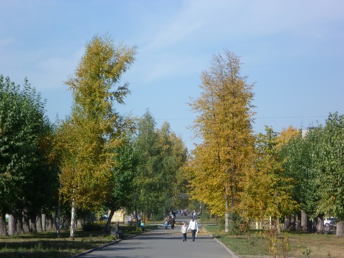 Барнаул. Осенняя аллея на улице Георгия Исакова