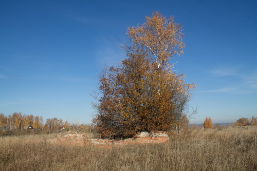 Барнаул. Останки неизвестного сооружения близ садоводства \