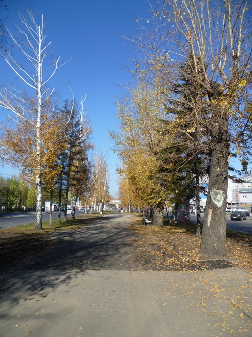 Барнаул. Аллея на проспекте Ленина поздней осенью